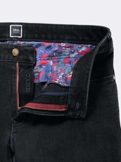 Herren Jeans - Phoenix 9 Herren Jeans - Phoenix -CARLO Kleidung Geschaft Herren Jeans Phoenix pdstandard 677117 0002 modeldetail 2